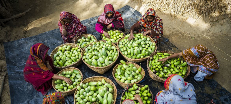 Ending world hunger costs less than one per cent of what we spend on the military