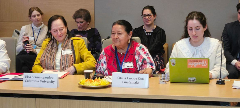 Лидер коренных народов Отилия Люкс де Коти, представляющая Гватемалу на конференции